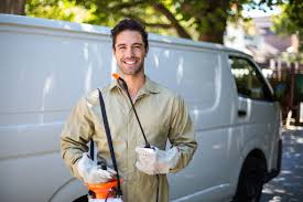 Best Pest Exclusion Services  in Licking, MO